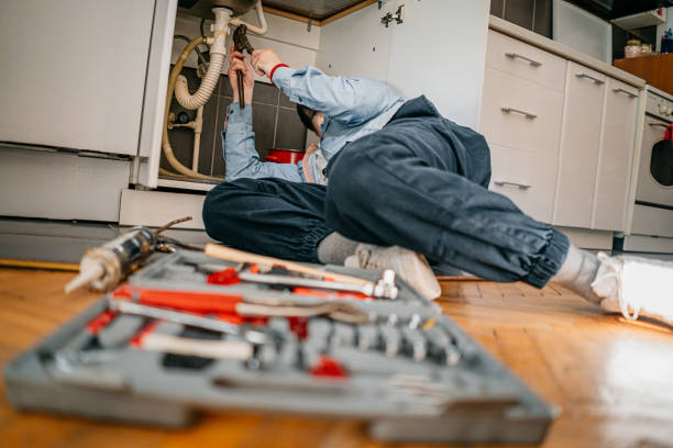 Best 24-Hour Plumber Near Me  in Chebanse, IL