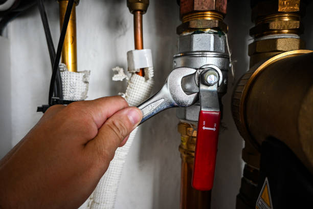 Best Water Heater Repair  in Chebanse, IL